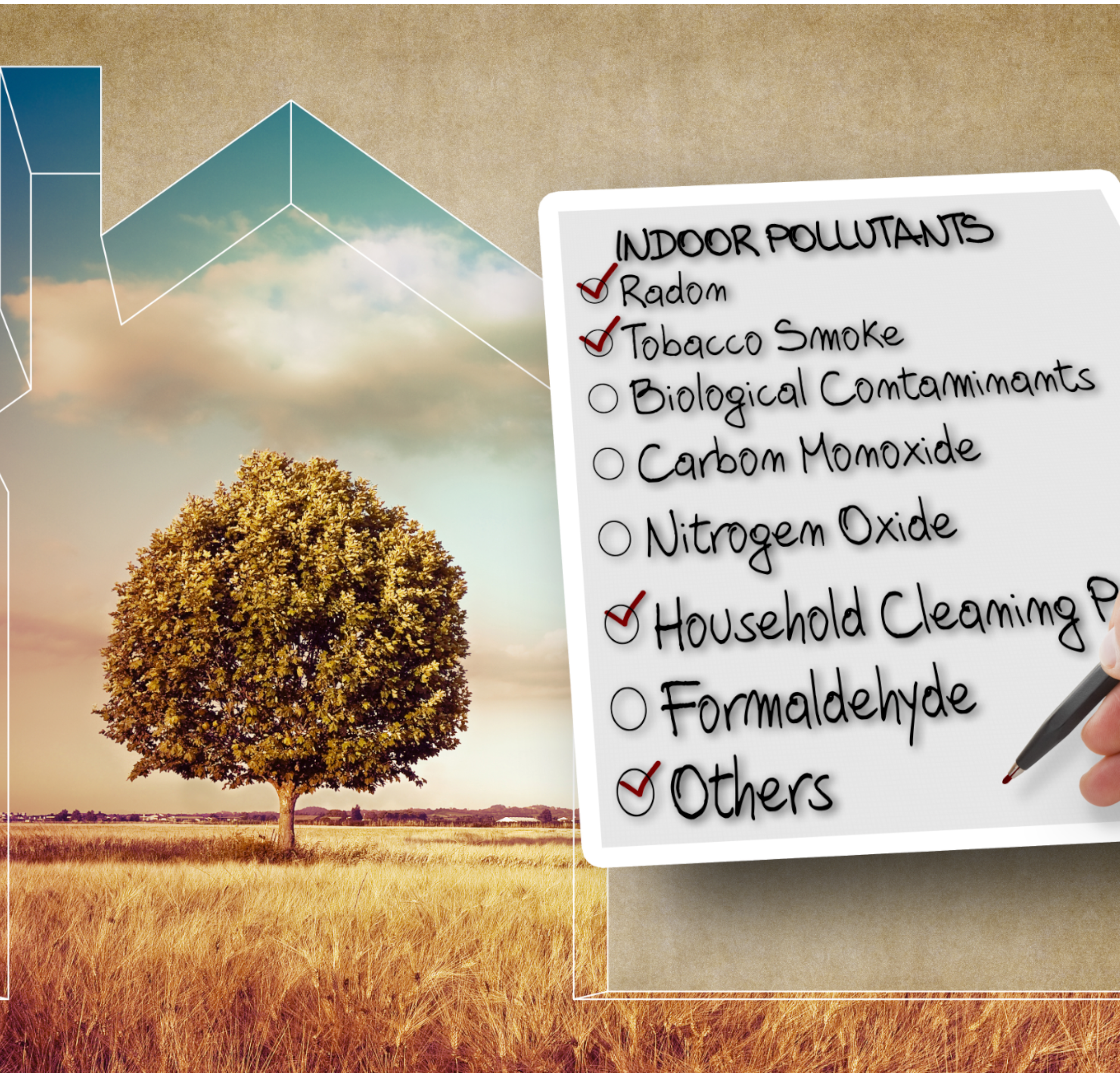 INDOOR AIR POLLUTION